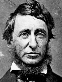 Portrait of Henry David Thoreau